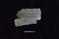 藏品(陶罐)的圖片